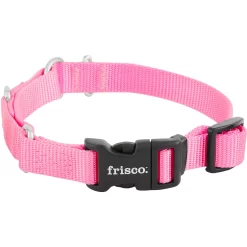 Frisco Solid Nylon Martingale Dog Collar With Buckle -Frisco 139177 PT3. AC SS1800 V1620068872