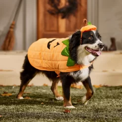 Frisco Pumpkin Dog & Cat Costume 16 Frisco Pumpkin Dog & Cat Costume -Frisco 144446 PT7. AC SS1800 V1567180408