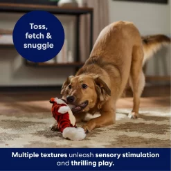 Frisco Tiger Muscle Plush Squeaky Dog Toy 10 Frisco Tiger Muscle Plush Squeaky Dog Toy -Frisco 147080 PT4. AC SS1800 V1695659209