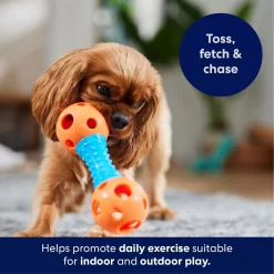 Frisco Dumbbell TPR Fetch Dog Toy -Frisco 147108 PT3. AC SS1800 V1695241969