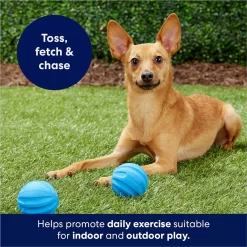Frisco Foam Rubber Floating Fetch Ball No Squeak Dog Toy -Frisco 152798 PT4. AC SS1800 V1686579140