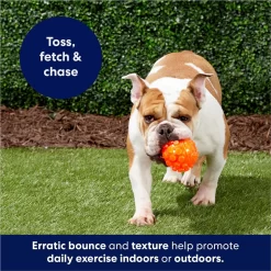 Frisco Fetch Squeaky TPR Ball Dog Toy 10 Frisco Fetch Squeaky TPR Ball Dog Toy -Frisco 152801 PT4. AC SS1800 V1686580091