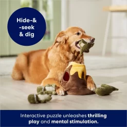 Frisco Volcano Hide & Seek Puzzle Plush Squeaky Dog Toy 8 Frisco Volcano Hide & Seek Puzzle Plush Squeaky Dog Toy -Frisco 152810 PT3. AC SS1800 V1686079871