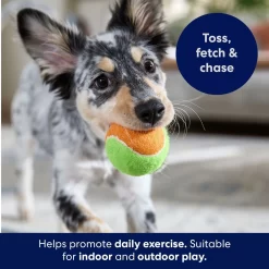 Frisco Fetch Squeaking Colorful Tennis Ball Dog Toy -Frisco 152846 PT3. AC SS1800 V1691776635