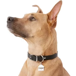 Frisco Stainless Steel Personalized Dog ID Tag, Dog House -Frisco 153000 PT5. AC SS1800 V1540562239