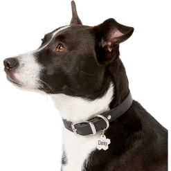 Frisco Stainless Steel Personalized Dog & Cat ID Tag, Flower -Frisco 153002 PT5. AC SS1800 V1540562264