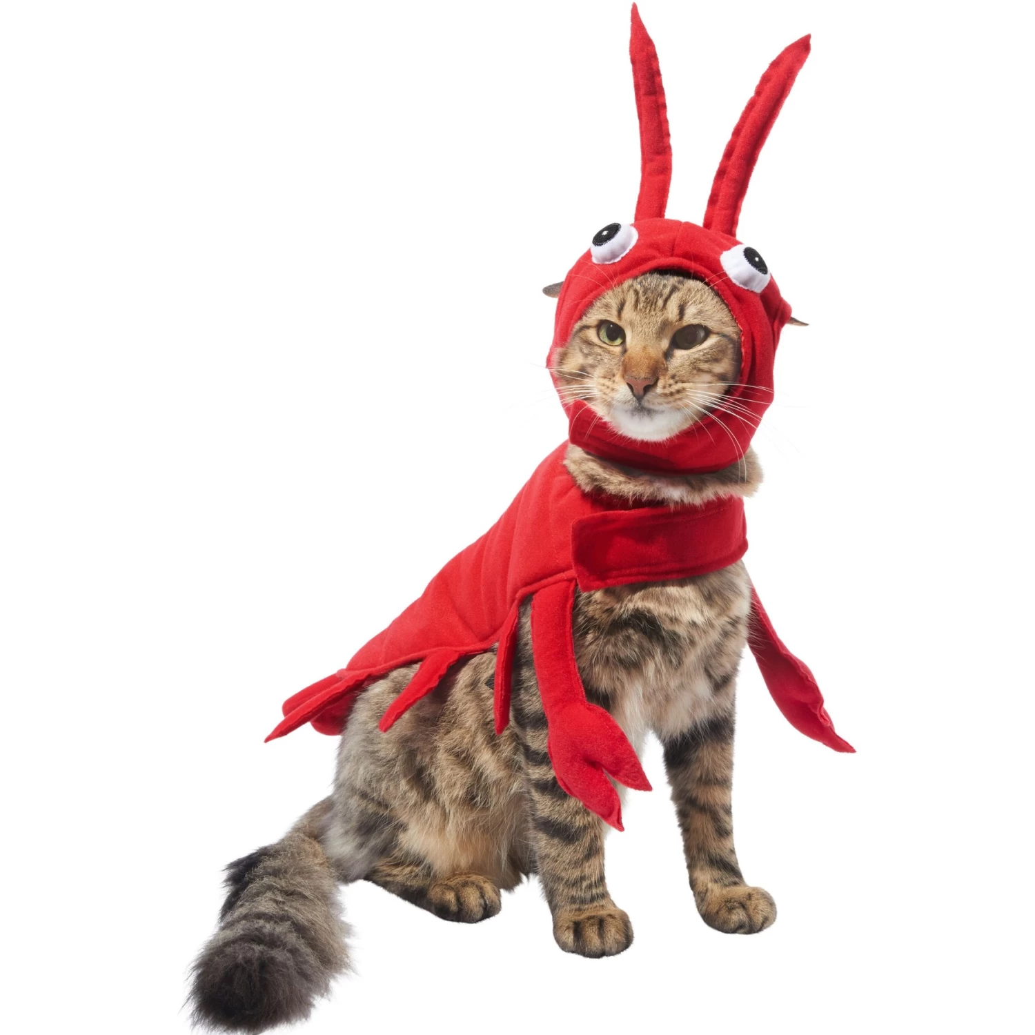 Frisco Red Lobster Dog & Cat Costume 1 Frisco Red Lobster Dog & Cat Costume