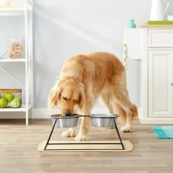 Frisco Pyramid Elevated Stainless Steel Double Diner Dog & Cat Bowl -Frisco 159884 PT3. AC SS1800 V1561123346