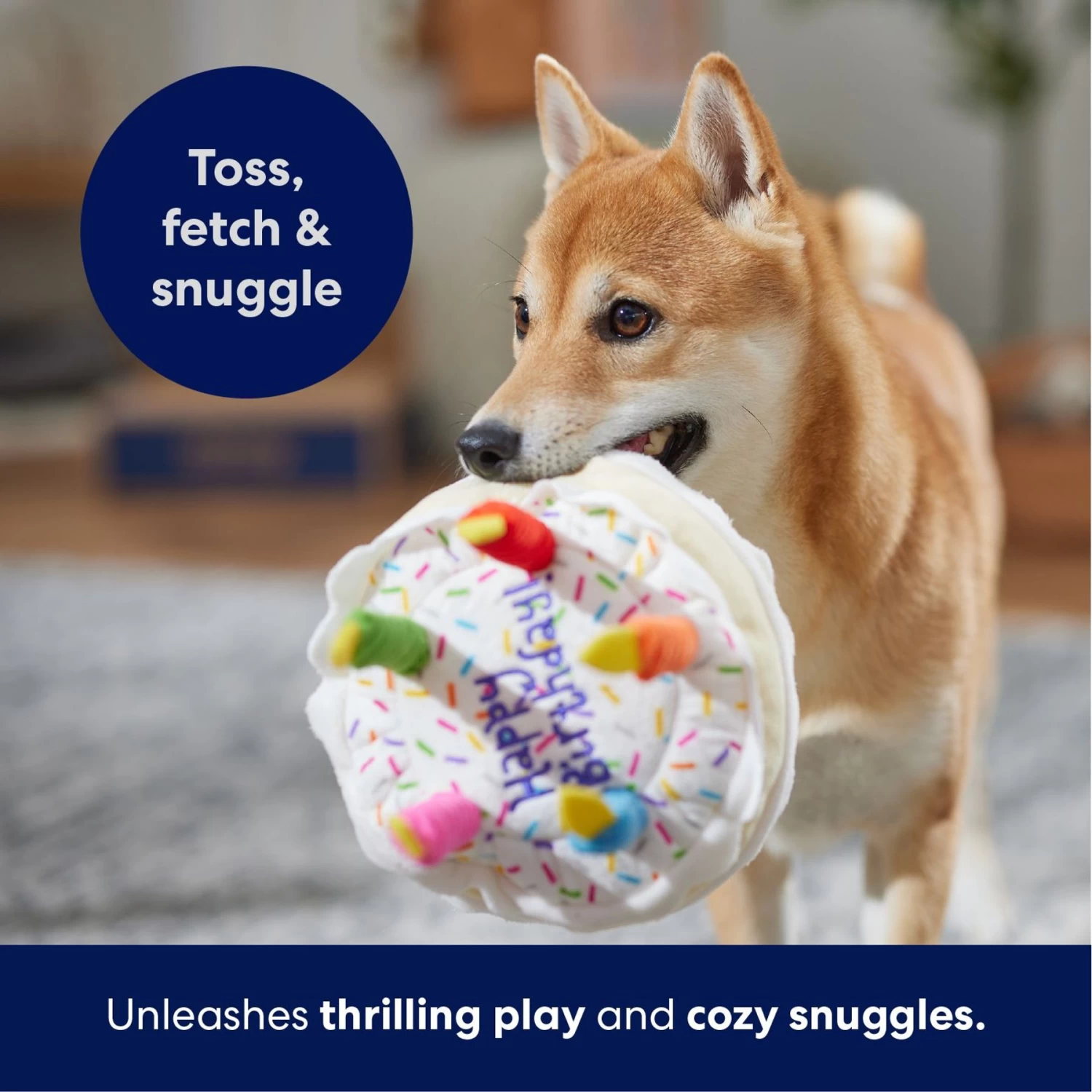 Frisco Birthday Cake Plush Squeaky Dog Toy 5 Frisco Birthday Cake Plush Squeaky Dog Toy - Image 5