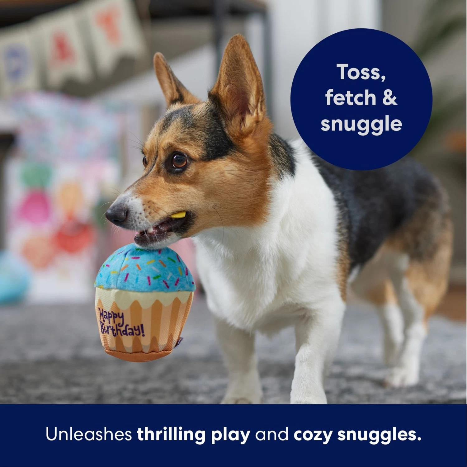 Frisco Birthday Cupcake Plush Squeaky Dog Toy 5 Frisco Birthday Cupcake Plush Squeaky Dog Toy - Image 5
