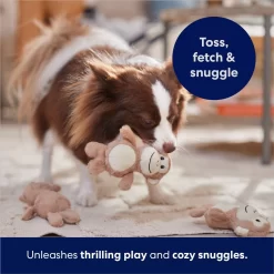 Frisco Monkeys In Tree Hide & Seek Puzzle Plush Squeaky Dog Toy Refills 8 Frisco Monkeys In Tree Hide & Seek Puzzle Plush Squeaky Dog Toy Refills -Frisco 174768 PT5. AC SS1800 V1691784249