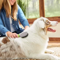 Frisco Cat & Dog Bristle Brush -Frisco 206859 PT5. AC SS1800 V1680186099