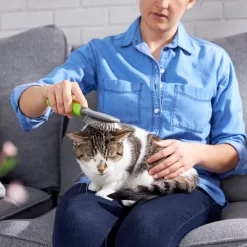 Frisco Cat & Dog Pin Brush -Frisco 206861 PT7. AC SS1800 V1680186386