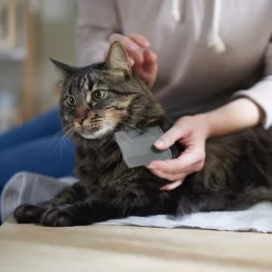 Frisco Flea Comb For Cats & Dogs -Frisco 206888 PT4. AC SS1800 V1680186101