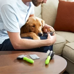 Frisco Beginner Grooming Kit For Dogs And Cats -Frisco 206909 PT7. AC SS1800 V1680186156