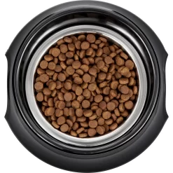 Frisco Stainless Steel Bowl With Elevated Stand -Frisco 216020 PT4. AC SS1800 V1591020427