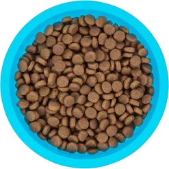 Frisco Plastic Suction Bowl, Blue -Frisco 216037 PT4. AC SS1800 V1591020655