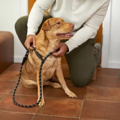 Frisco Reflective Rope Slip Lead Dog Leash 9 Frisco Reflective Rope Slip Lead Dog Leash -Frisco 221212 PT4. AC SS1800 V1699388234