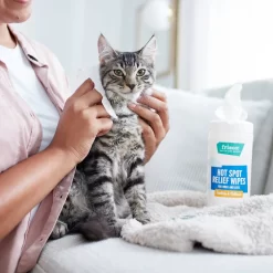 Frisco Hot Spot Relief Wipes -Frisco 222163 PT2. AC SS1800 V1602831392