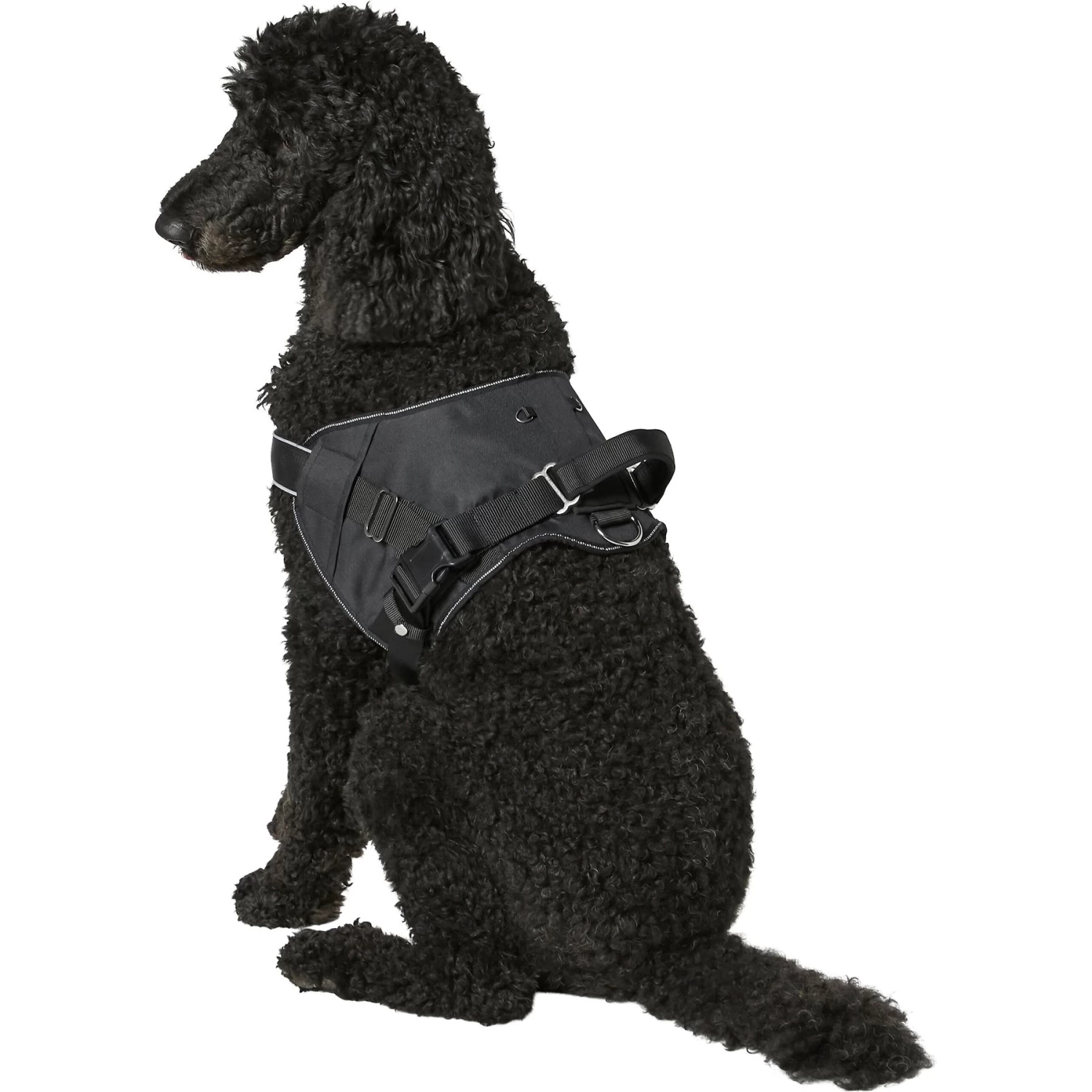 Frisco Big Dog Harness 6 Frisco Big Dog Harness - Image 6