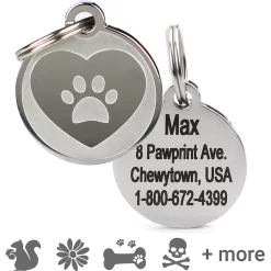 Frisco Personalized Dog & Cat ID Tag, Medium