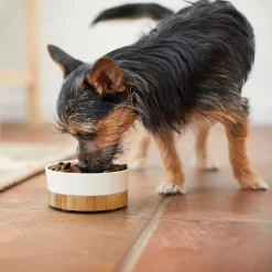 Frisco Melamine Dog & Cat Bowl With Bamboo Base -Frisco 232065 PT7. AC SS1800 V1692989518