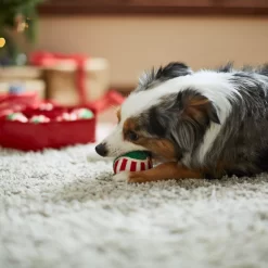 Frisco Holiday Wreath Fetch Squeaky Tennis Ball Dog Toy -Frisco 233189 PT3. AC SS1800 V1665759769