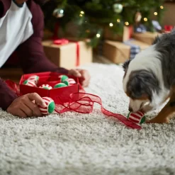 Frisco Holiday Wreath Fetch Squeaky Tennis Ball Dog Toy -Frisco 233189 PT5. AC SS1800 V1601919657