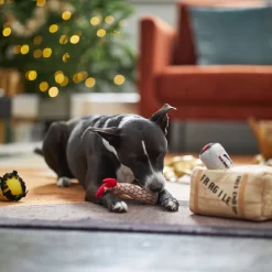 Frisco Holiday Fragile Box Hide & Seek Puzzle Plush Squeaky Dog Toy 11 Frisco Holiday Fragile Box Hide & Seek Puzzle Plush Squeaky Dog Toy -Frisco 233274 PT4. AC SS1800 V1665759767