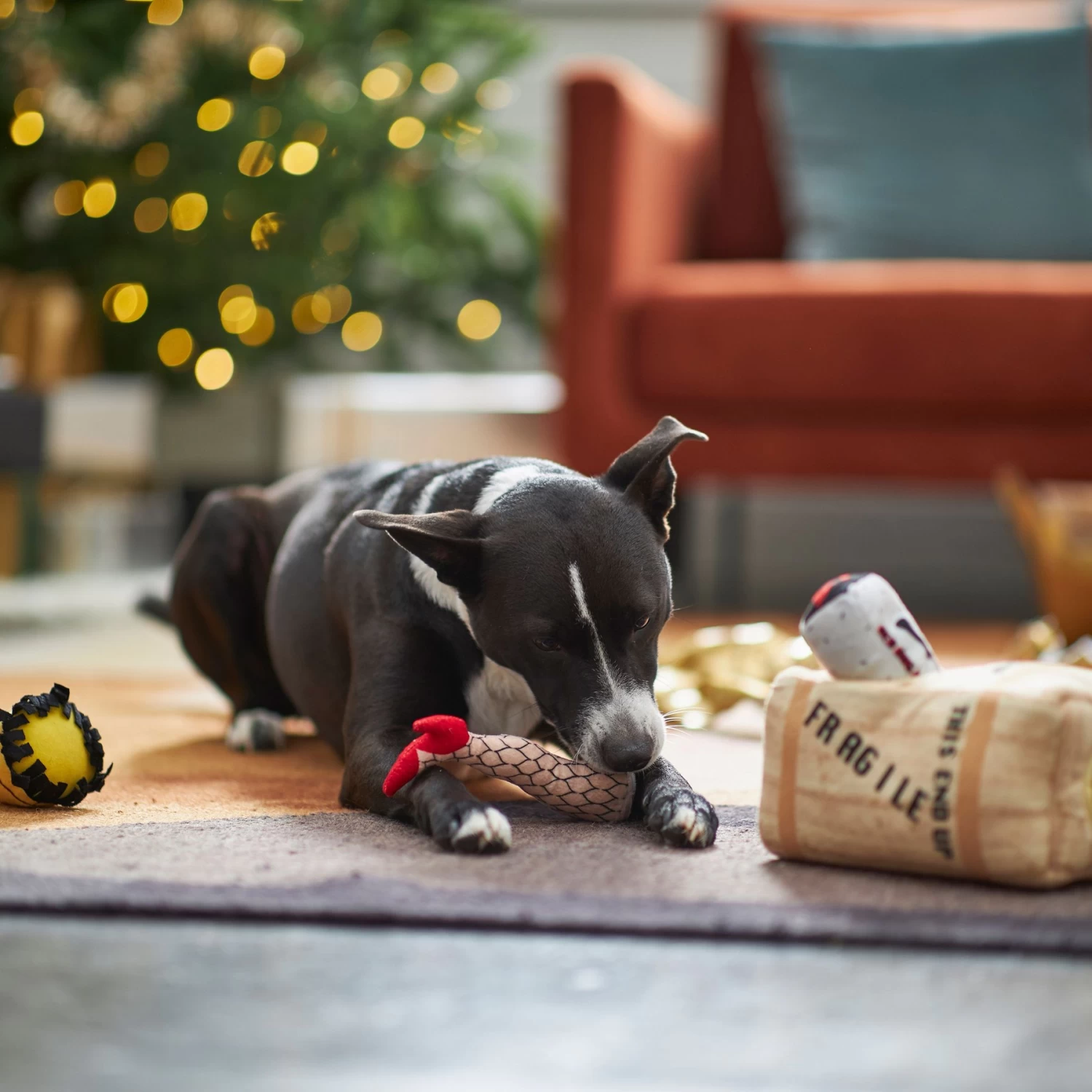 Frisco Holiday Fragile Box Hide & Seek Puzzle Plush Squeaky Dog Toy 5 Frisco Holiday Fragile Box Hide & Seek Puzzle Plush Squeaky Dog Toy - Image 5