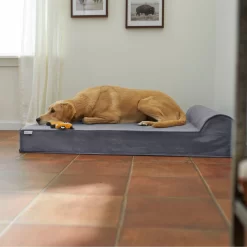 Frisco Orthopedic Chaise Pillow Dog Bed W/Removable Cover
