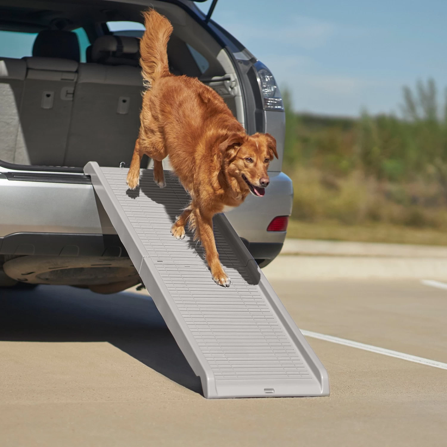 Frisco Bi-Fold Travel Dog Car Ramp 1 Frisco Bi-Fold Travel Dog Car Ramp