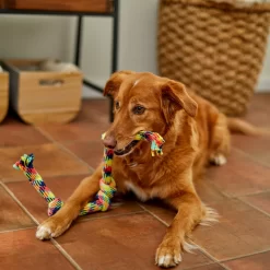 Frisco 4-Knot Tri-Color Rope Dog Toy 5 Frisco 4-Knot Tri-Color Rope Dog Toy -Frisco 242139 PT2. AC SS1800 V1605208764