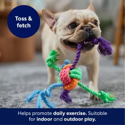 Frisco Fetch Colorful Ball Knot Rope Dog Toy 6 Frisco Fetch Colorful Ball Knot Rope Dog Toy -Frisco 242159 PT3. AC SS1800 V1695242179