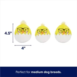 Frisco Spring Easter Egg Hide & Seek Plush Squeaky Dog Toy 8 Frisco Spring Easter Egg Hide & Seek Plush Squeaky Dog Toy -Frisco 248037 PT2. AC SS1800 V1700243718