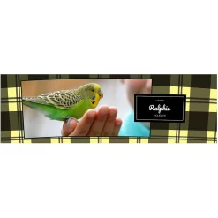 Frisco Double Walled Red Plaid Personalized Tumbler, 30-oz Cup -Frisco 249346 PT2. AC SS1800 V1602029161