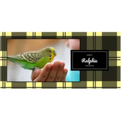 Frisco Plaid Insulated Personalized Mug, 10-oz -Frisco 249359 PT2. AC SS1800 V1601678195