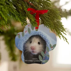 Frisco "My First Christmas" Paw Shape Metal Personalized Dog & Cat Holiday Ornament -Frisco 249369 PT2. AC SS1800 V1608337039