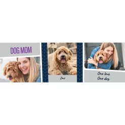 Frisco Double Walled "Dog Mom" Personalized Tumbler, 30-oz Cup -Frisco 250741 PT2. AC SS1800 V1602689509