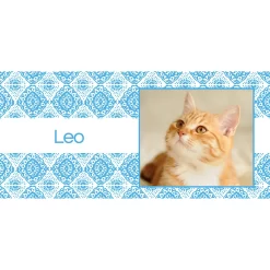 Frisco Double Walled Boho Damask Personalized Tumbler, 30-oz Cup -Frisco 250749 PT2. AC SS1800 V1606680445