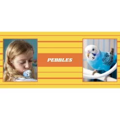 Frisco Double Walled Preppy Stripes Personalized Tumbler, 30-oz Cup -Frisco 250751 PT2. AC SS1800 V1606678620