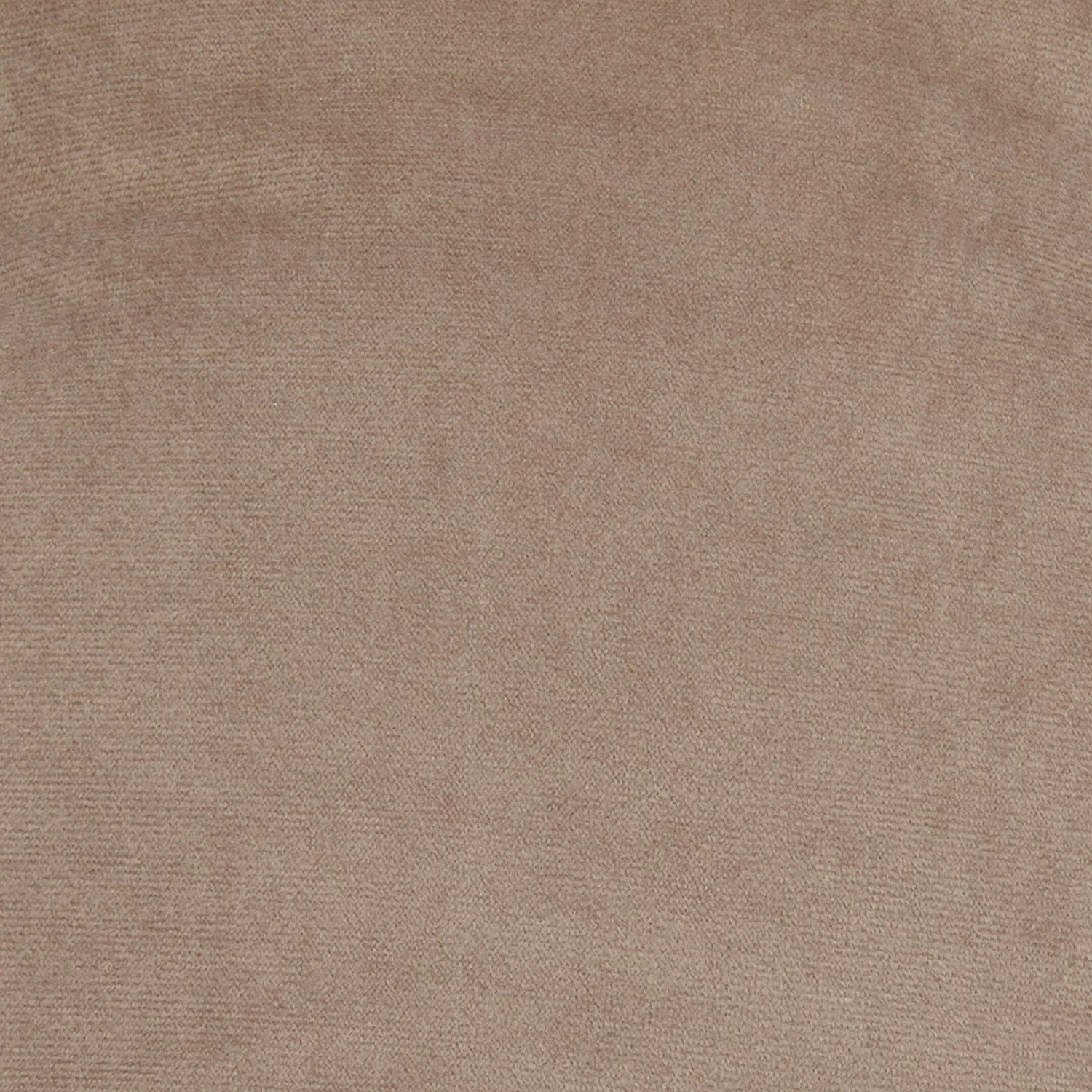 Frisco Rectangular Personalized Bolster Dog Bed W/Removable Cover, Beige, X-Large 6 Frisco Rectangular Personalized Bolster Dog Bed W/Removable Cover, Beige, X-Large - Image 6