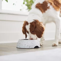 Frisco Quartz Design Stainless Steel Dog & Cat Bowl -Frisco 253044 PT2. AC SS1800 V1616526418