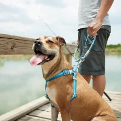 Frisco Outdoor Two Tone Waterproof Stinkproof PVC Dog Harness -Frisco 256580 PT5. AC SS1800 V1625588974