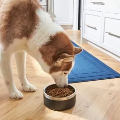 Frisco Insulated Two-Toned Non-Skid Stainless Steel Dog & Cat Bowl -Frisco 257168 PT8. AC SS1800 V1615840126