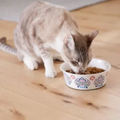 Frisco Bohemian Non-Skid Stainless Steel Dog & Cat Bowl -Frisco 257195 PT7. AC SS1800 V1615989147