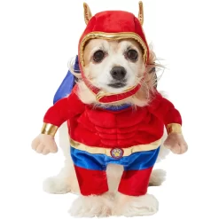 Frisco Front Walking Superhero Dog & Cat Costume