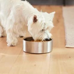 Frisco Insulated Non-Skid Flair Stainless Steel Dog & Cat Bowl -Frisco 261753 PT5. AC SS1800 V1623937469