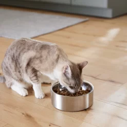 Frisco Insulated Non-Skid Flair Stainless Steel Dog & Cat Bowl -Frisco 261753 PT7. AC SS1800 V1623937560
