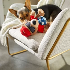 Frisco Road Trip Tourist Bear Plush Squeaky Dog Toy -Frisco 261995 PT3. AC SS1800 V1618598730